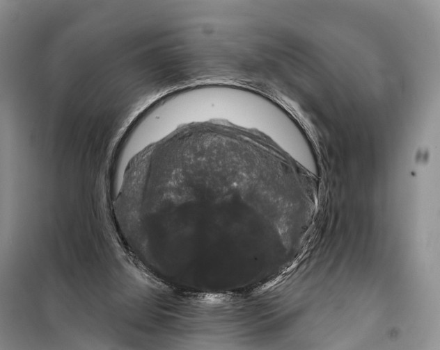 X0000098010060200804251124