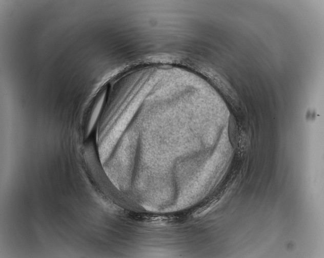 X0000098010064200804251124