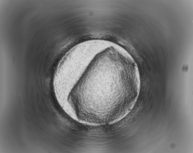 X0000098010066200804251124