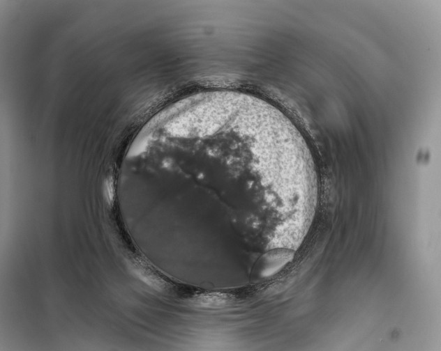 X0000098010069200804251124