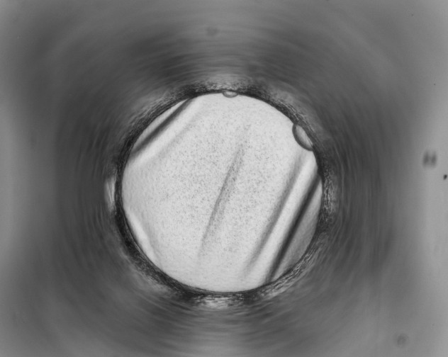 X0000098010070200804251124