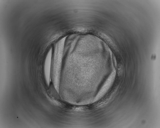 X0000098010072200804251124