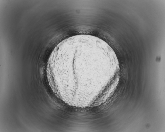 X0000098010074200804251124