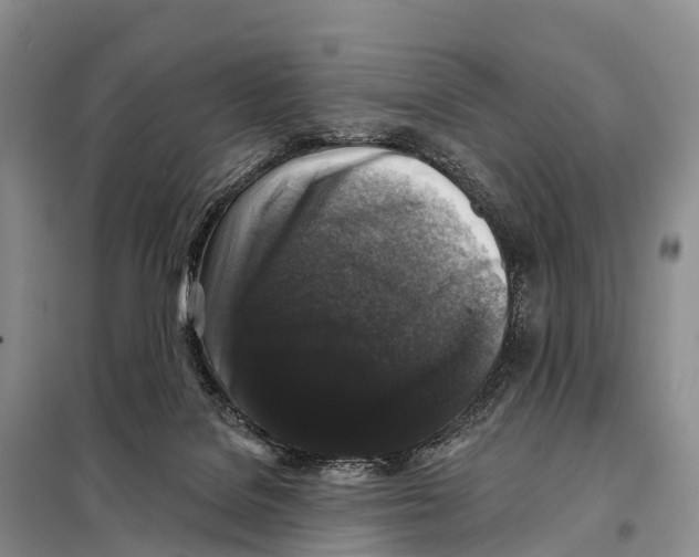 X0000098010076200804251124