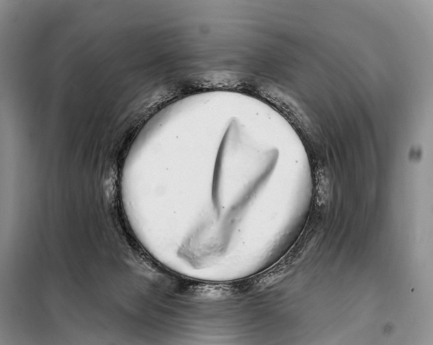 X0000098010077200804251124