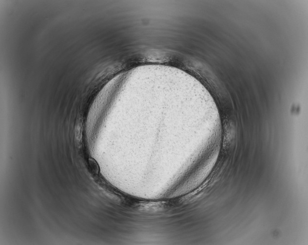 X0000098010078200804251124