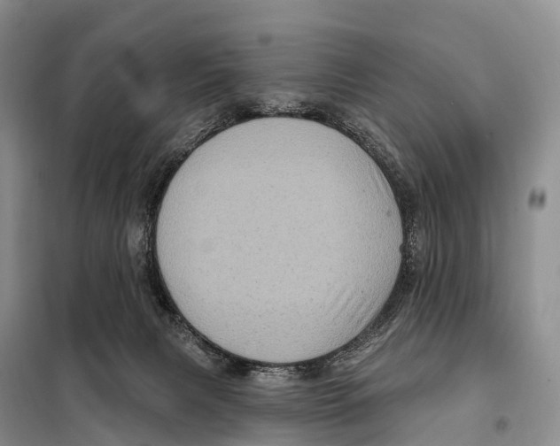X0000098010079200804251124