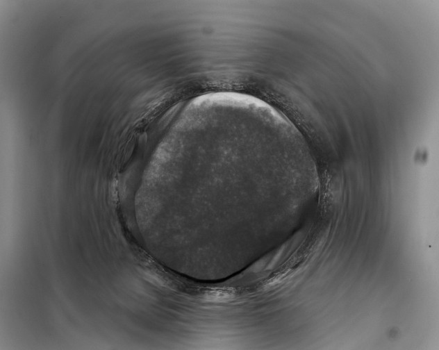 X0000098010080200804251124