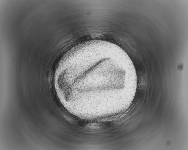 X0000098010082200804251124