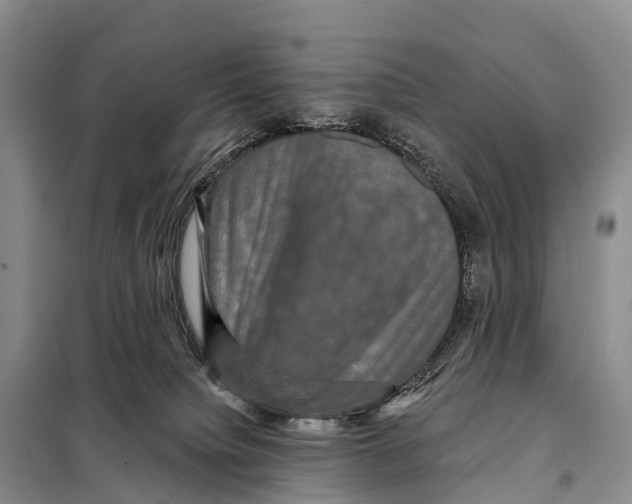 X0000098010084200804251124