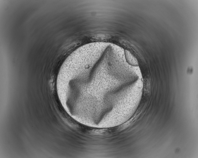 X0000098010086200804251124