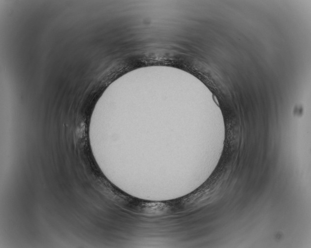 X0000098010087200804251124