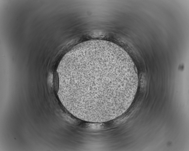 X0000098010089200804251124