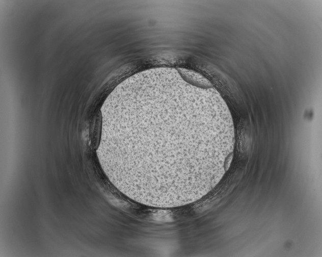 X0000098010091200804251124