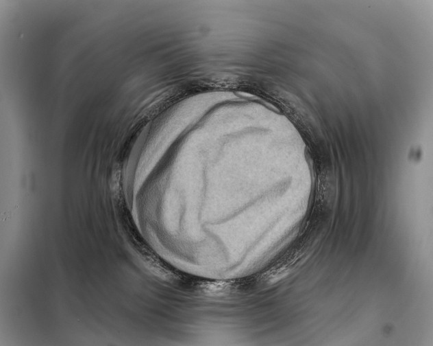 X0000098010092200804251124