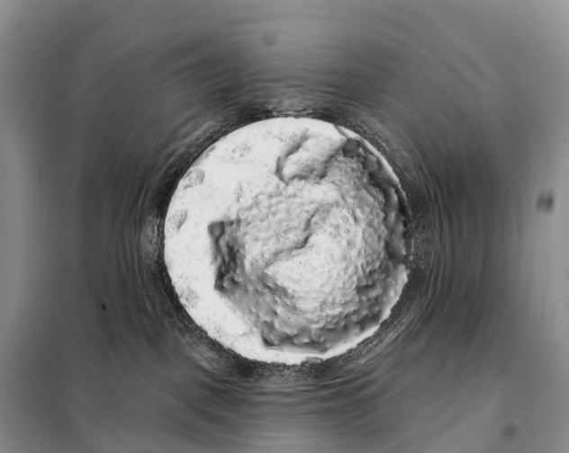X0000098010093200804251124