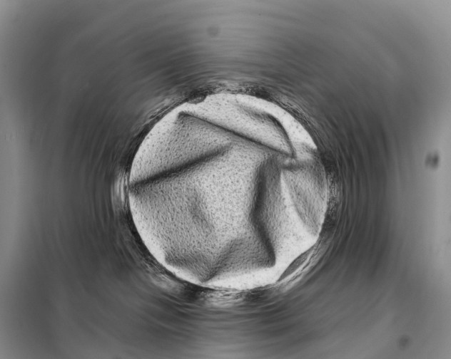 X0000098010094200804251124