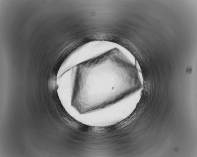 X0000098010095200804251124