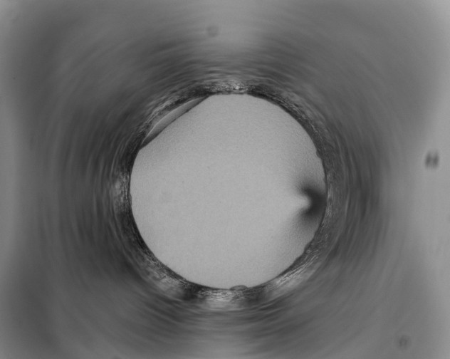 X0000098010096200804251124