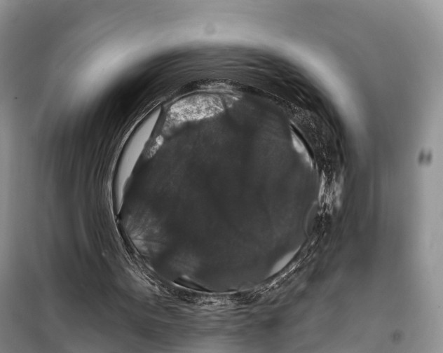 X0000098010099200804251123