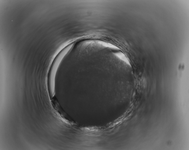 X0000098010100200804251123