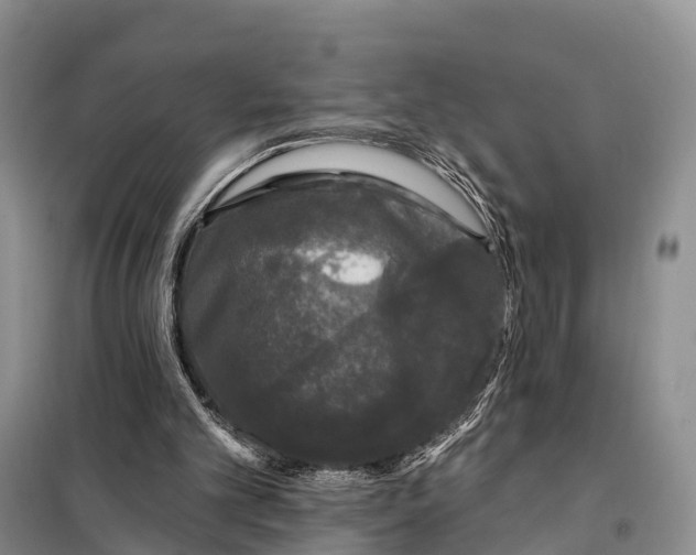 X0000098010101200804251123