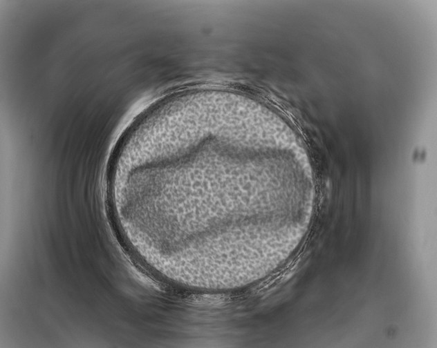 X0000098010102200804251123