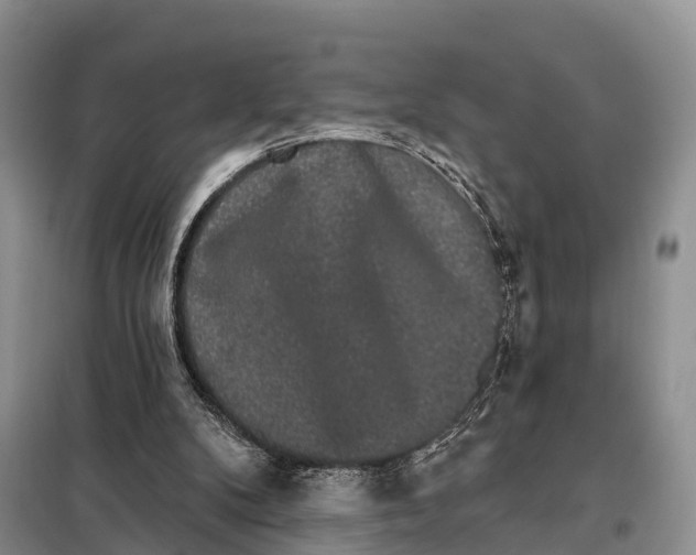 X0000098010104200804251123