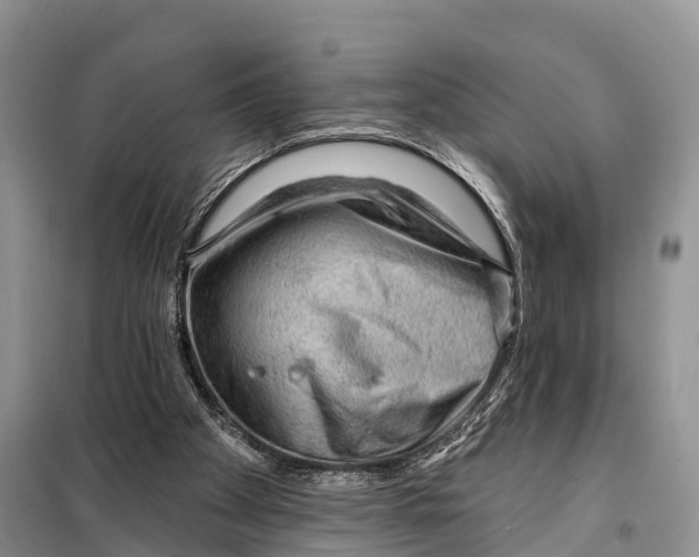 X0000098010105200804251123