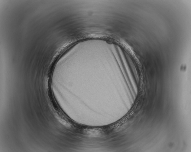 X0000098010106200804251123