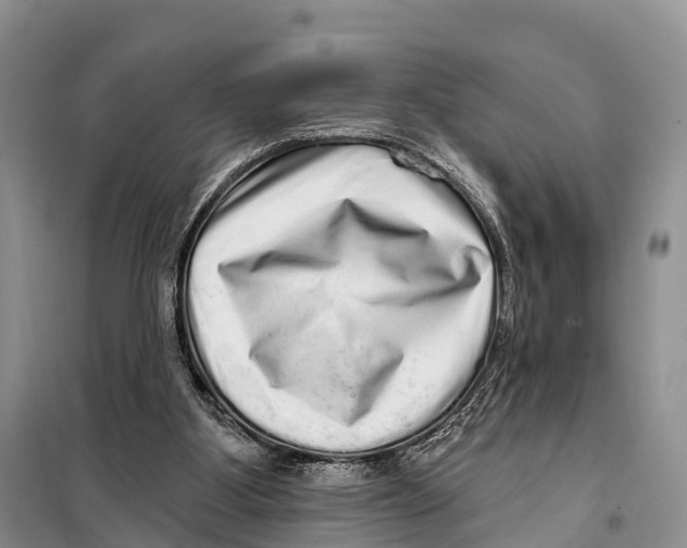 X0000098010107200804251123