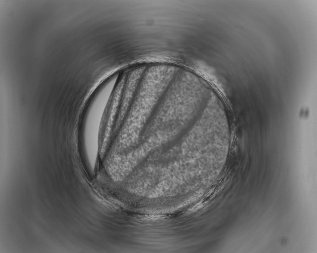 X0000098010108200804251123