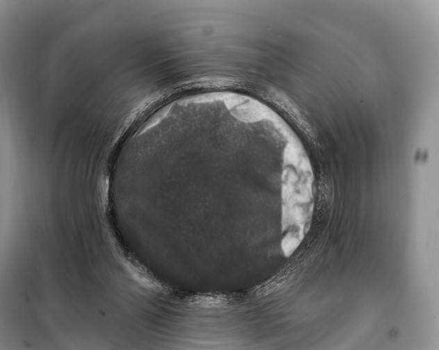 X0000098010110200804251123