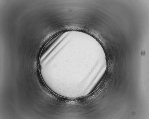 X0000098010111200804251123