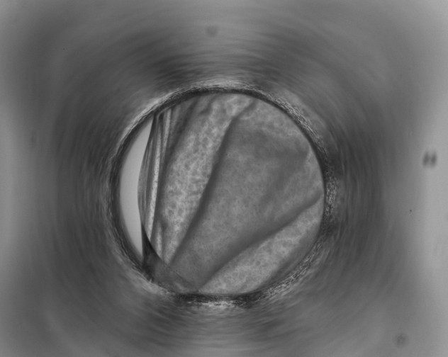 X0000098010112200804251123