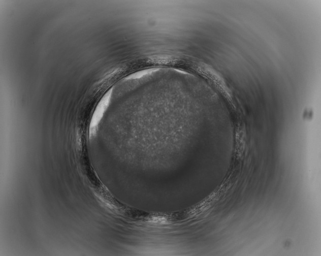 X0000098010114200804251123