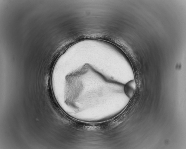 X0000098010115200804251123