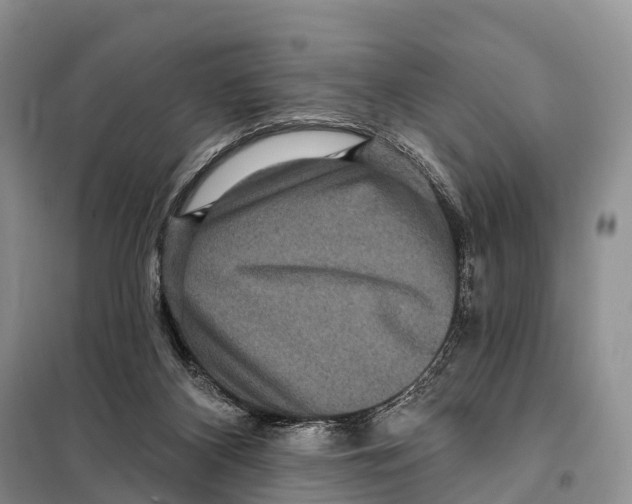 X0000098010116200804251123