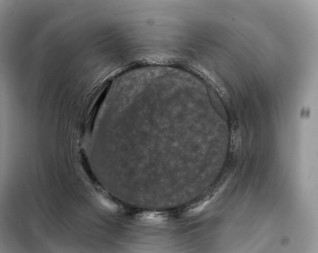 X0000098010117200804251123