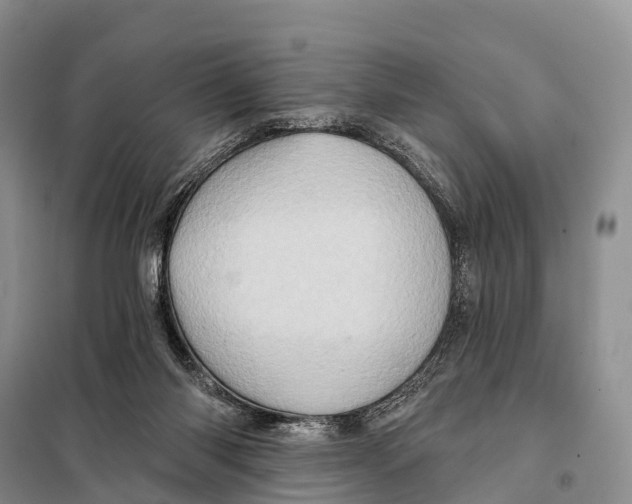 X0000098010118200804251123