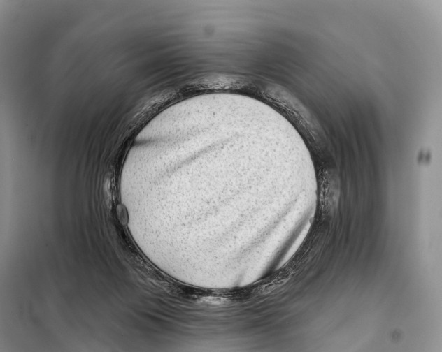 X0000098010119200804251123