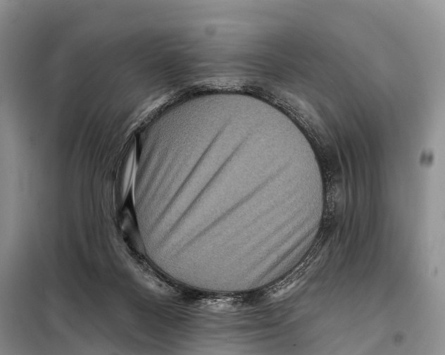 X0000098010120200804251123