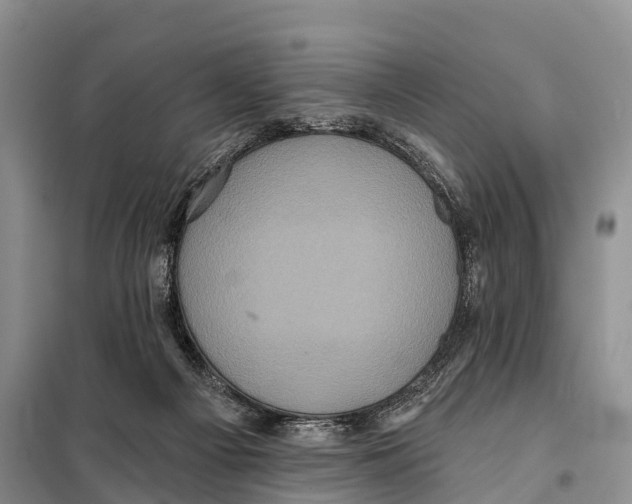 X0000098010121200804251123
