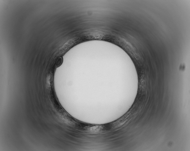 X0000098010122200804251123