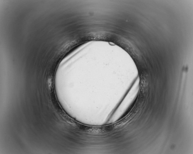 X0000098010123200804251123