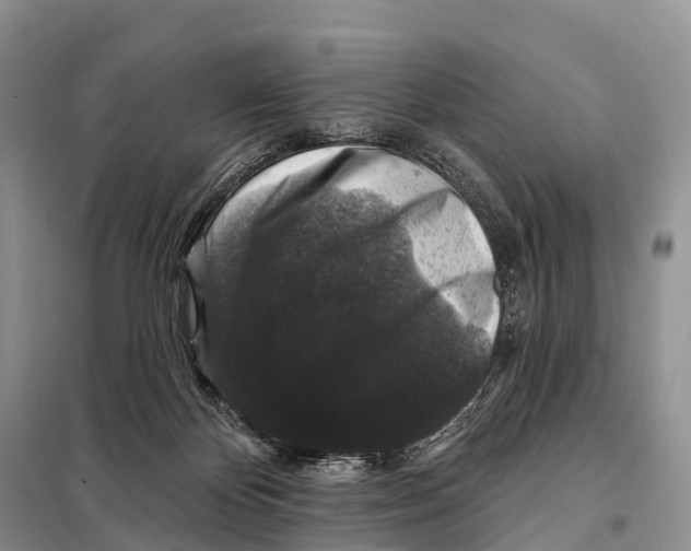 X0000098010124200804251123