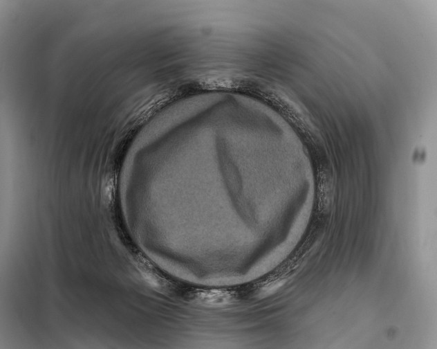 X0000098010125200804251123
