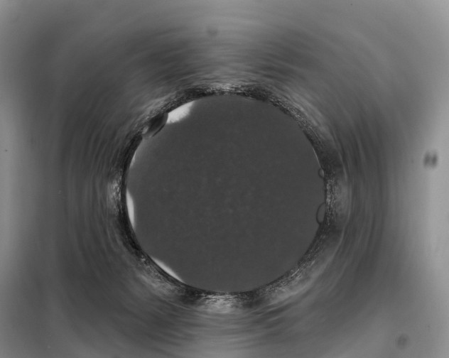 X0000098010127200804251123