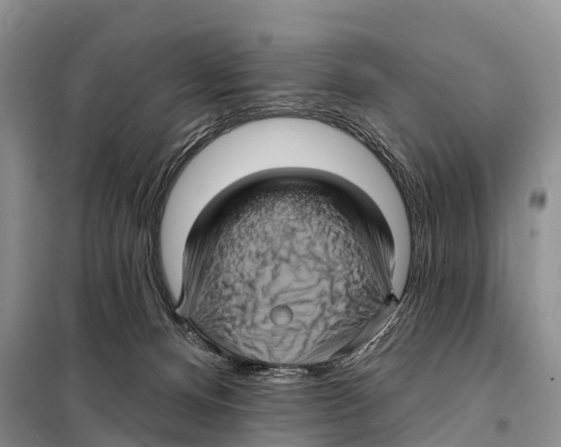 X0000098010128200804251123