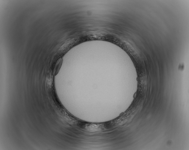 X0000098010129200804251123
